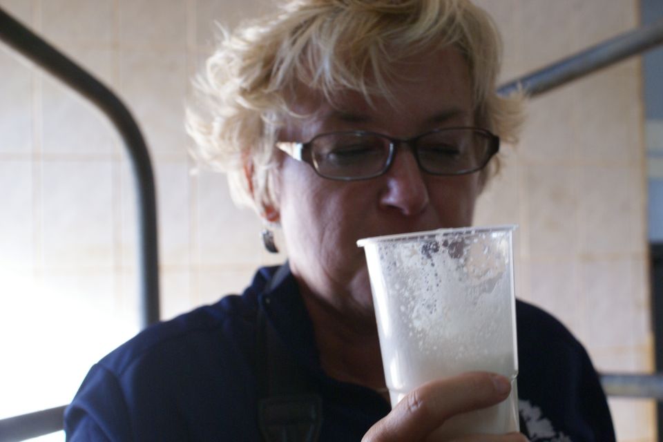 Azores: Day at the Farm With Outdoor Traditional Lunch - Day-Long Factory and Farm Tour