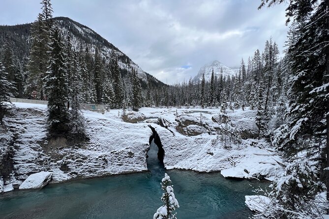 Banff, Yoho, and Icefield Parkway Private Tour - Tour Overview