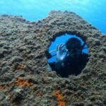 Baptism Of Scuba Diving In A Shipwreck On Terceira Island Diving Equipment And Inclusions