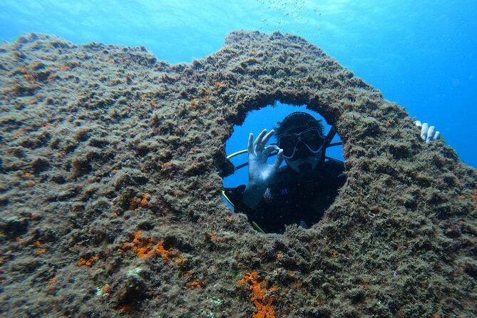 Baptism of Scuba Diving in a Shipwreck on Terceira Island - Diving Equipment and Inclusions