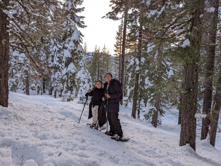 Beginner And Family Snowshoe Tour Tour Overview And Pricing