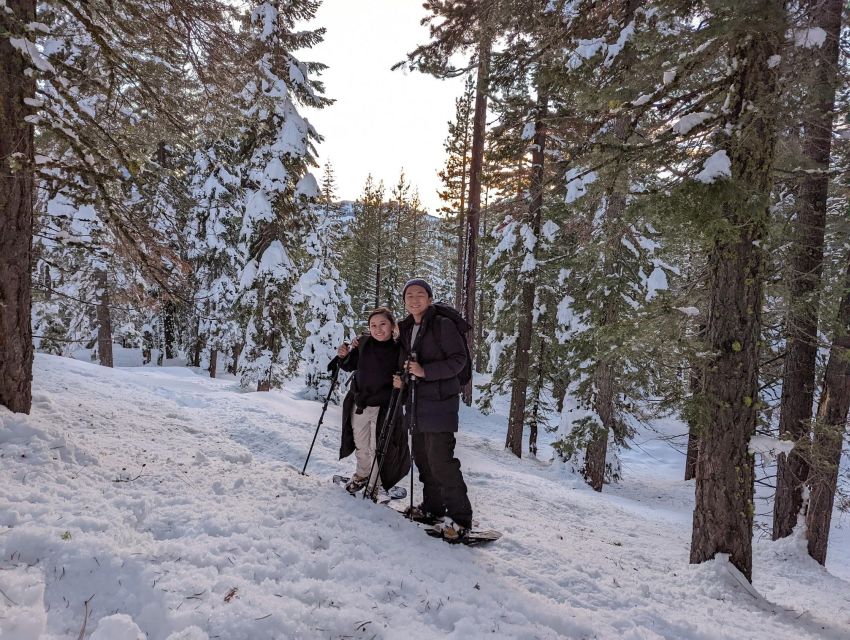 Beginner and Family Snowshoe Tour - Tour Overview and Pricing