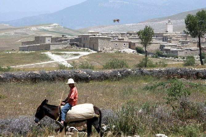 Berber Villages Trek Day Trip - Overview of the Trek