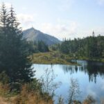 Bergen: Mountain Hike On Top Of Bergen Public Tour Activity Overview