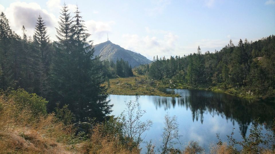 Bergen: Mountain Hike on Top of Bergen - Public Tour - Activity Overview