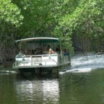 Black River Safari And Ys Falls Tour From Montego Bay Included Services