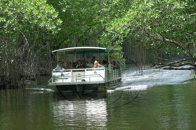 Black River Safari and YS Falls Tour From Montego Bay - Included Services