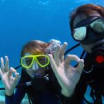 Bodrum: Full Day Scuba Diving Tour Activity Overview