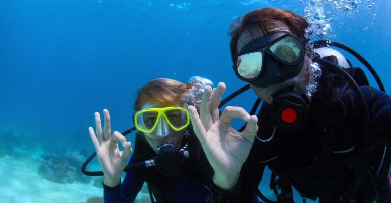 Bodrum: Full Day Scuba Diving Tour Activity Overview