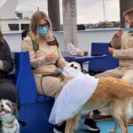 Boston: Dog Friendly Halloween Costume & Sightseeing Cruise Event Overview