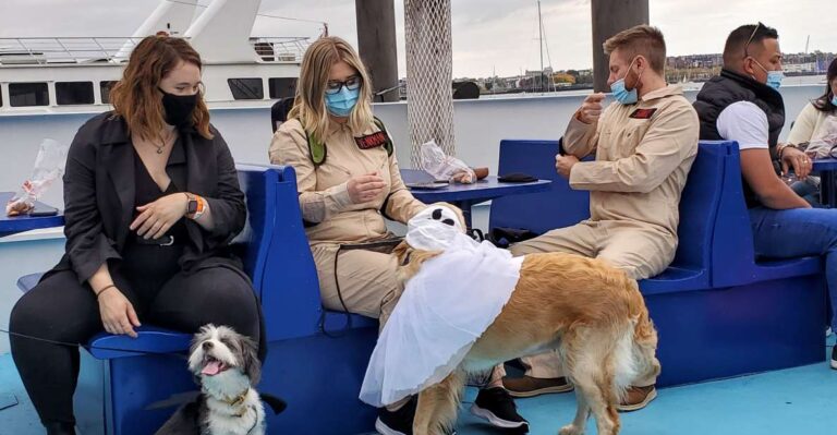 Boston: Dog Friendly Halloween Costume & Sightseeing Cruise Event Overview