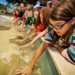 Boston: New England Aquarium Skip The Line Entry Ticket Ticket Pricing And Cancellation