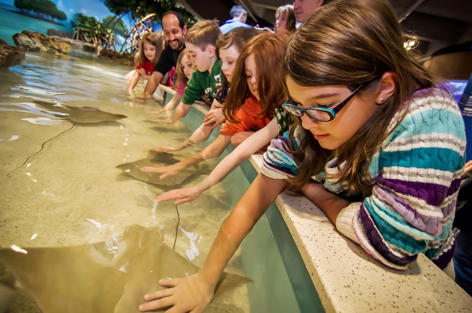 Boston: New England Aquarium Skip-the-Line Entry Ticket - Ticket Pricing and Cancellation