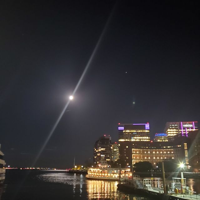 Boston: Scenic Moonlight Harbor Cruise - Activity Overview