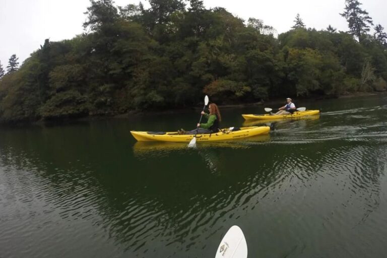 Brookings: Pacific Ocean Kayak Tour Tour Overview