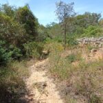 Bush Walk, Chimneys, And Wine Activity Overview