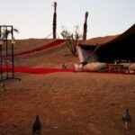 Camel Ride And Magical Dinner In Agafay Desert Exploring Rugged Desert Landscapes