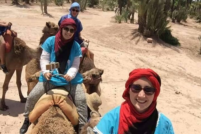 Camel Ride At The Palm Groves In Marrakech Overview Of The Experience