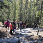 Cameron Falls Hiking Tour Tour Overview