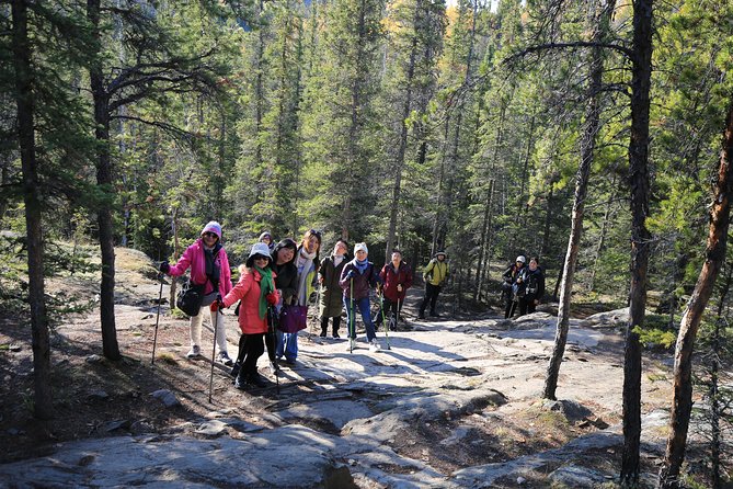 Cameron Falls Hiking Tour - Tour Overview