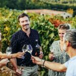 Cannes: Provence Wine Tour Private Tour From Cannes Tour Duration And Inclusions