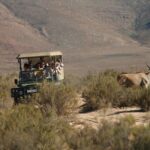 Cape Town Shore Excursion: Aquila Safari Day Trip From Cape Town Inclusions And Logistics