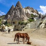 Cappadocia:horse Tour Tour Details