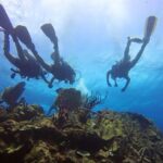 Catalina Island Scuba Diving And Snorkeling Tour From Punta Cana Overview Of The Tour