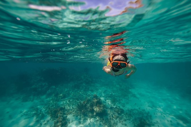 Catamaran and Snorkeling Cruise At Carlisle Bay - Inclusion Details