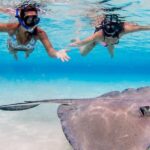 Cayman Adventure: Starfish Point, Stingray City And Coral Gardens Tour Overview