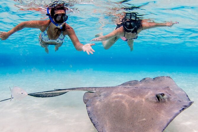 Cayman Adventure: Starfish Point, Stingray City and Coral Gardens - Tour Overview