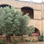 Chania Private Olive Oil Tour: Oil Tasting & Villages Tour Tour Overview And Pricing