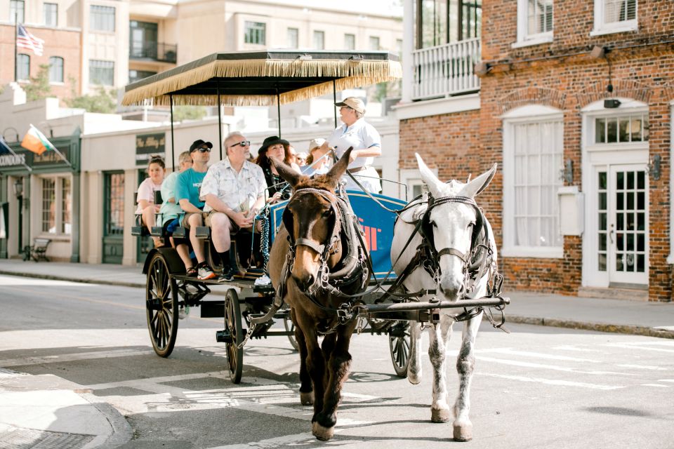 Charleston: 1-Hour Carriage Tour of the Historic District - Tour Overview