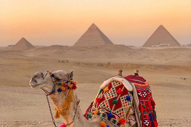 Cheap Private Tour to Giza Pyramids and the Sphinx - Tour Overview