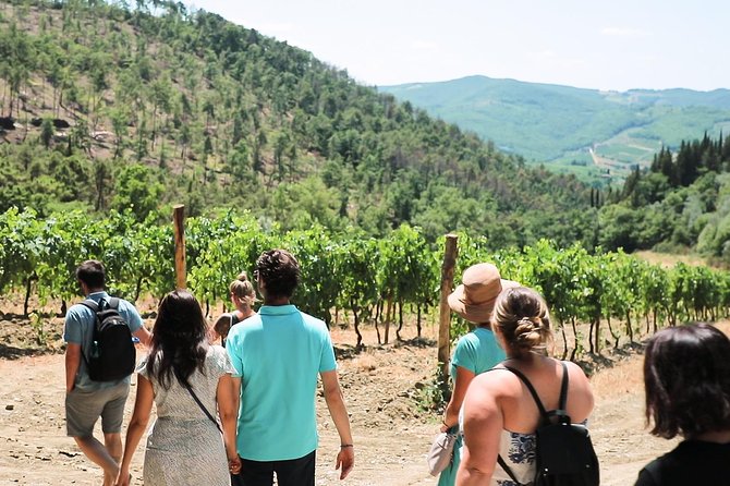 Chianti Wine Tour From Florence Overview Of The Tour