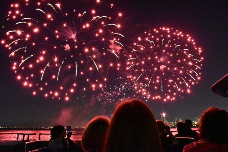 Chicago: Summer Fireworks Cruise With 3d Glasses And Music Activity Overview