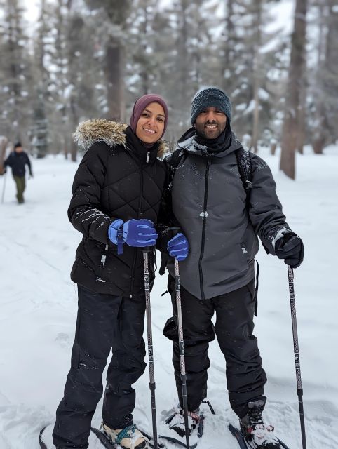 Chickadee Ridge Beginner Snowshoeing Hike - Activity Overview