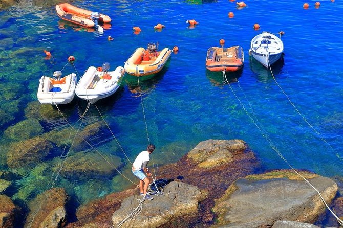 Cinque Terre Walking Tour With Food and Wine Tastings - Overview and Highlights