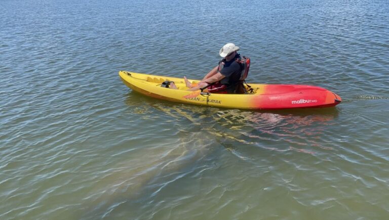 Cocoa Beach: Sunset Guided Kayak Tour Tour Overview