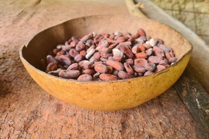 Cocoa Plantation Discovery and Workshop - Tasting the Chocolate Delights