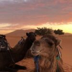 Combined Tour: Atlas Mountains Trek And Sahara Desert 5 Days Tour Itinerary Details