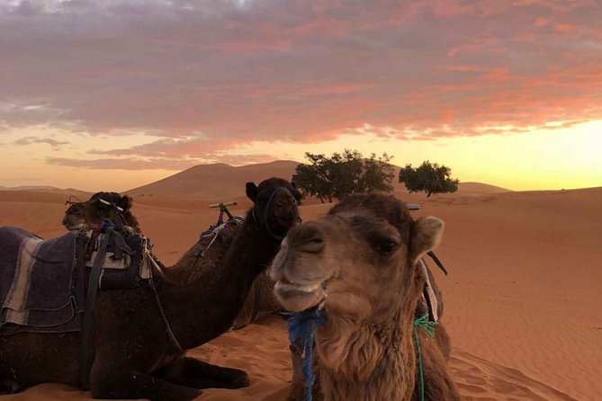 Combined Tour: Atlas Mountains Trek and Sahara Desert 5 Days Tour - Itinerary Details