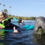 Crystal River: Vip Manatee Swim W/ In Water Photographer Overview Of The Experience