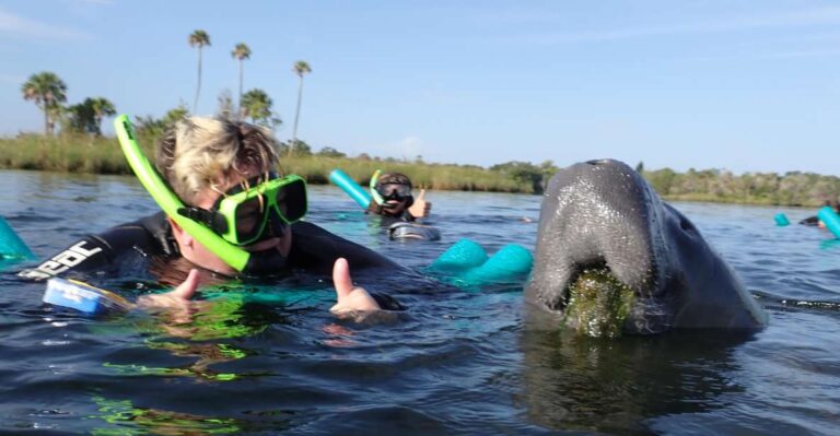 Crystal River: Vip Manatee Swim W/ In Water Photographer Overview Of The Experience