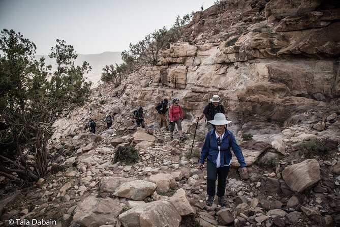 Dana to Petra Trek (Group) - Overview of the Trek