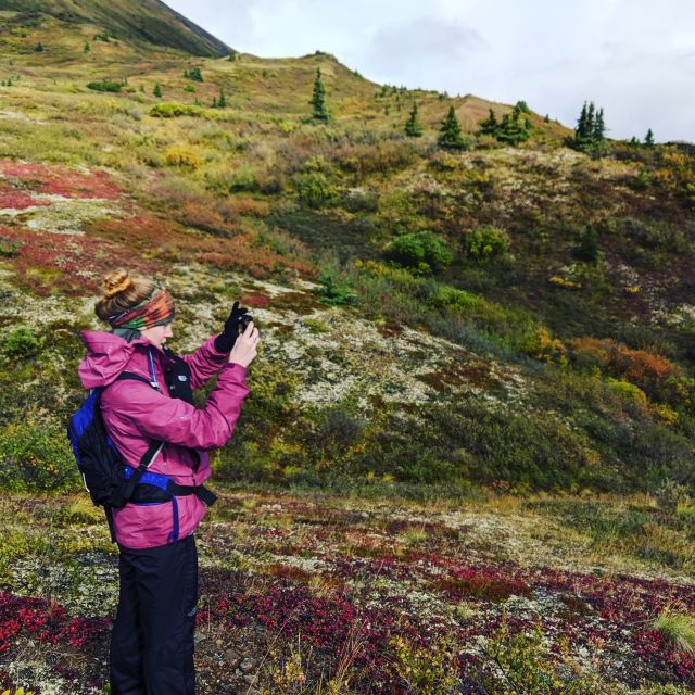 Denali: 5-Hour Guided Wilderness Hiking Tour - Tour Details