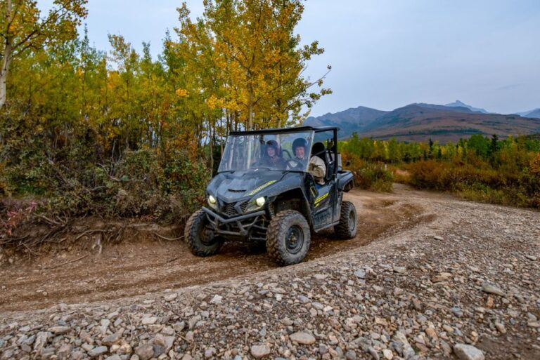 Denali National Park: Wilderness Atv Adventure Overview Of The Adventure