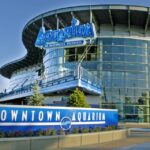 Denver: Downtown Aquarium All Day Pass Ticket Pricing And Cancellation