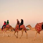 Desert Camel Ride With Live Shows & Bbq Buffet Dinner Experience Overview