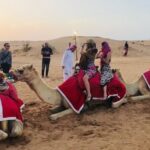 Desert Safari Dubai With Bbq Dinner And Belly Dance Tour Overview